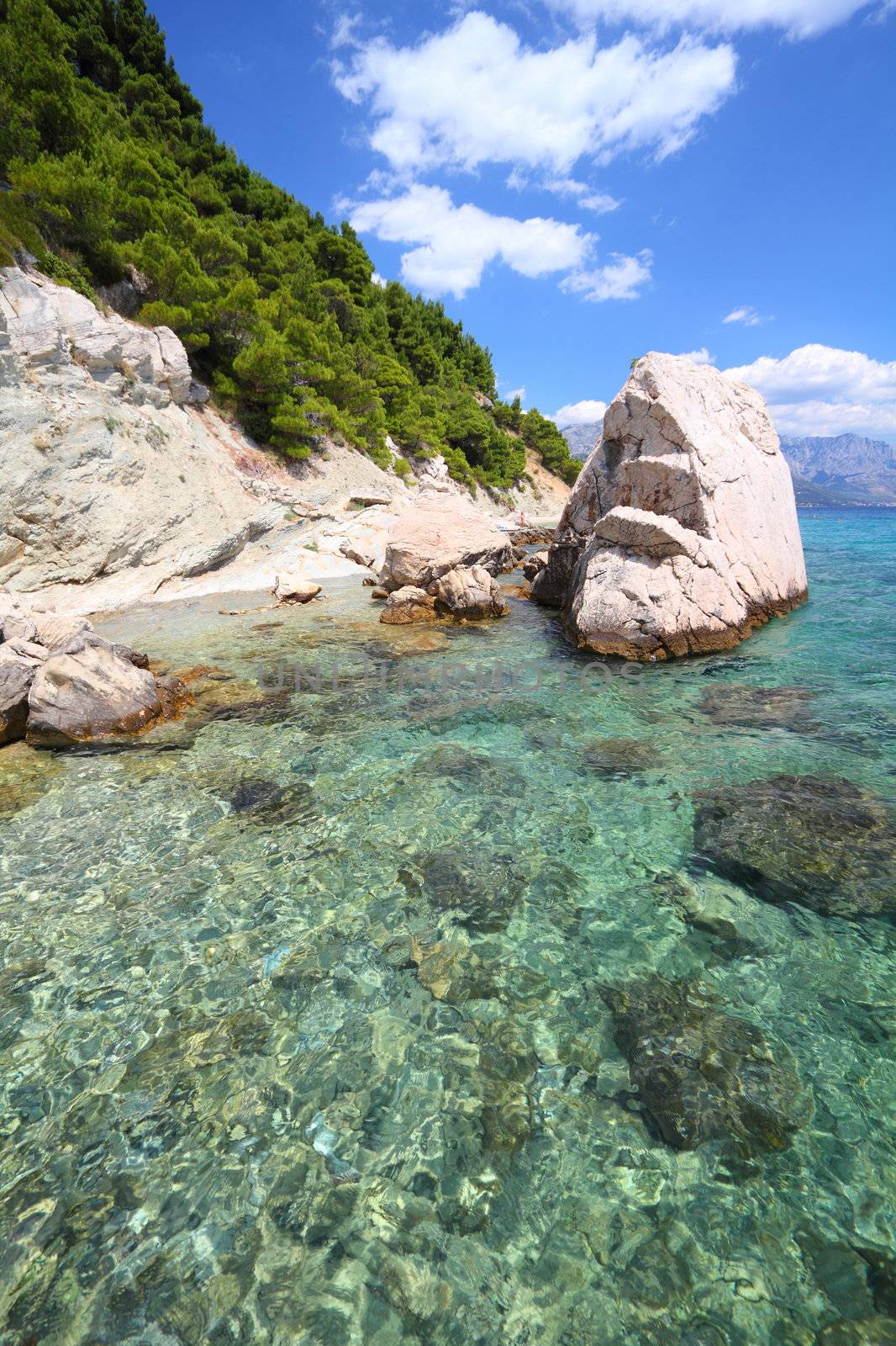 Croatia - beautiful Mediterranean coast landscape in Dalmatia. Marusici beach - Adriatic Sea (Makarska Riviera region).