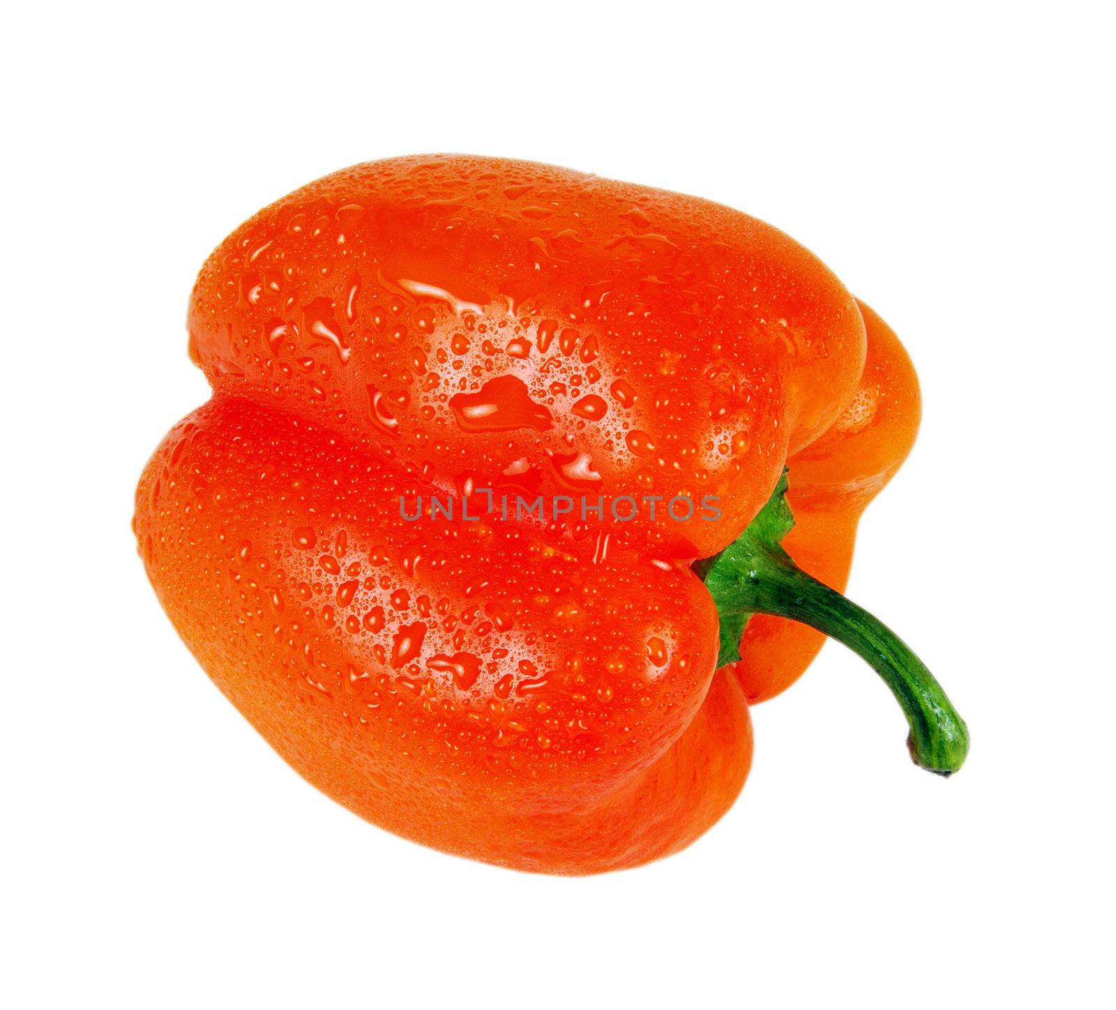 Pepper - very tasty and useful vegetable. It is used in kitchens of many people