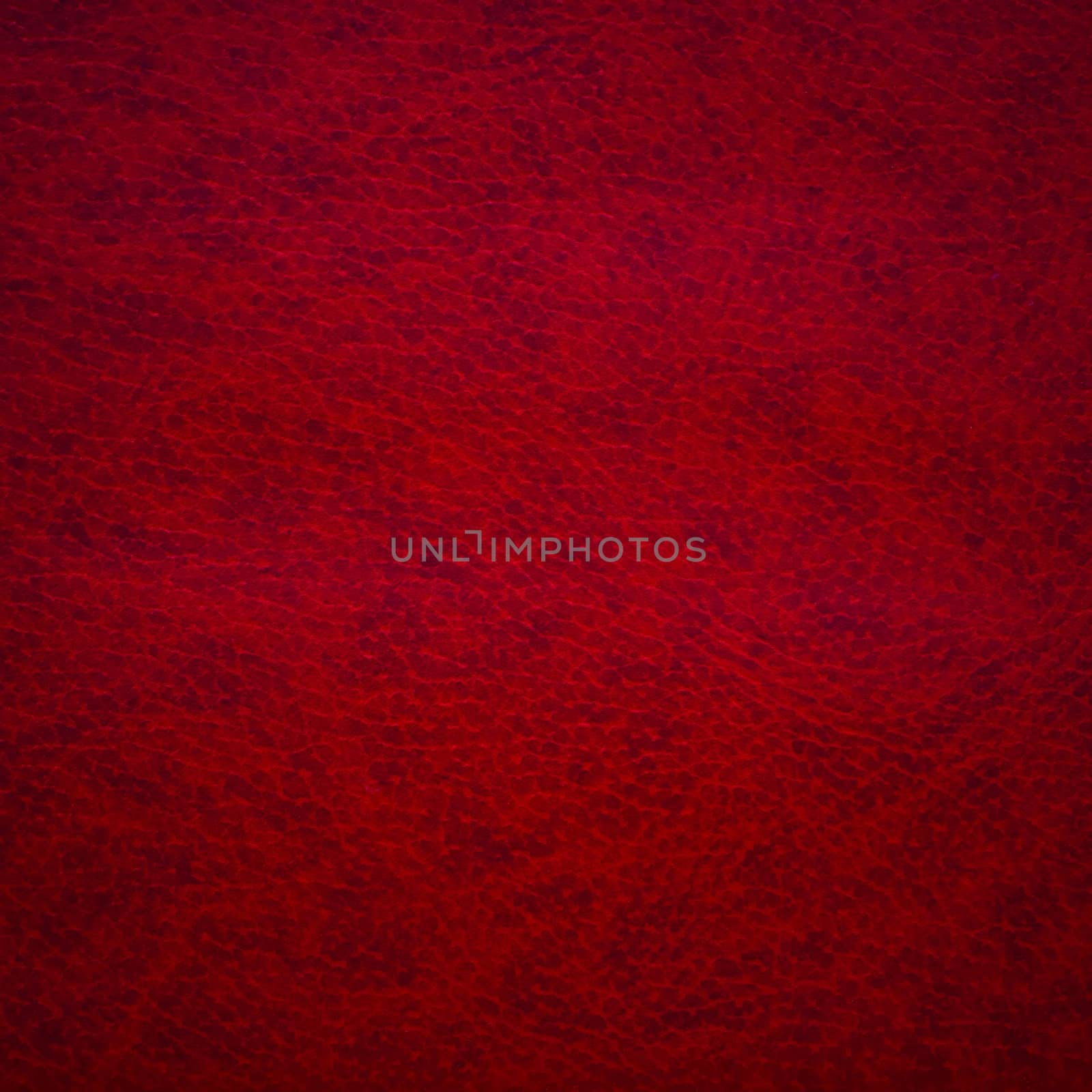 Red leather texture for background by ryhor