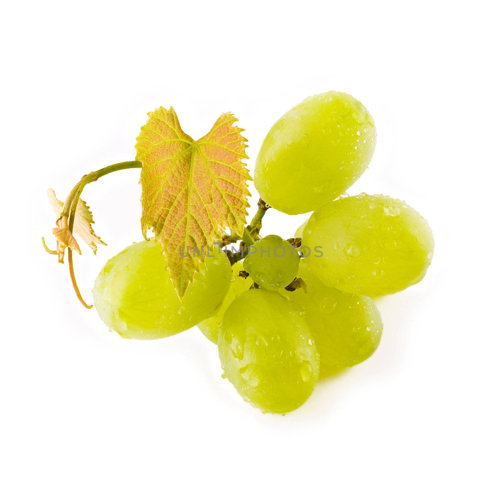 Small bunch of green grapes isolated on white