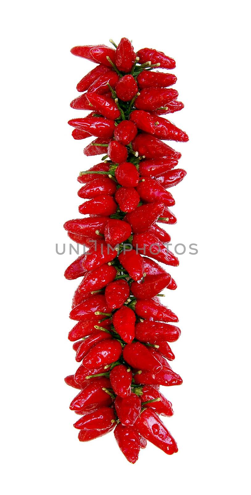 Sharp pepper - very tasty seasoning. It is used in kitchens of many people