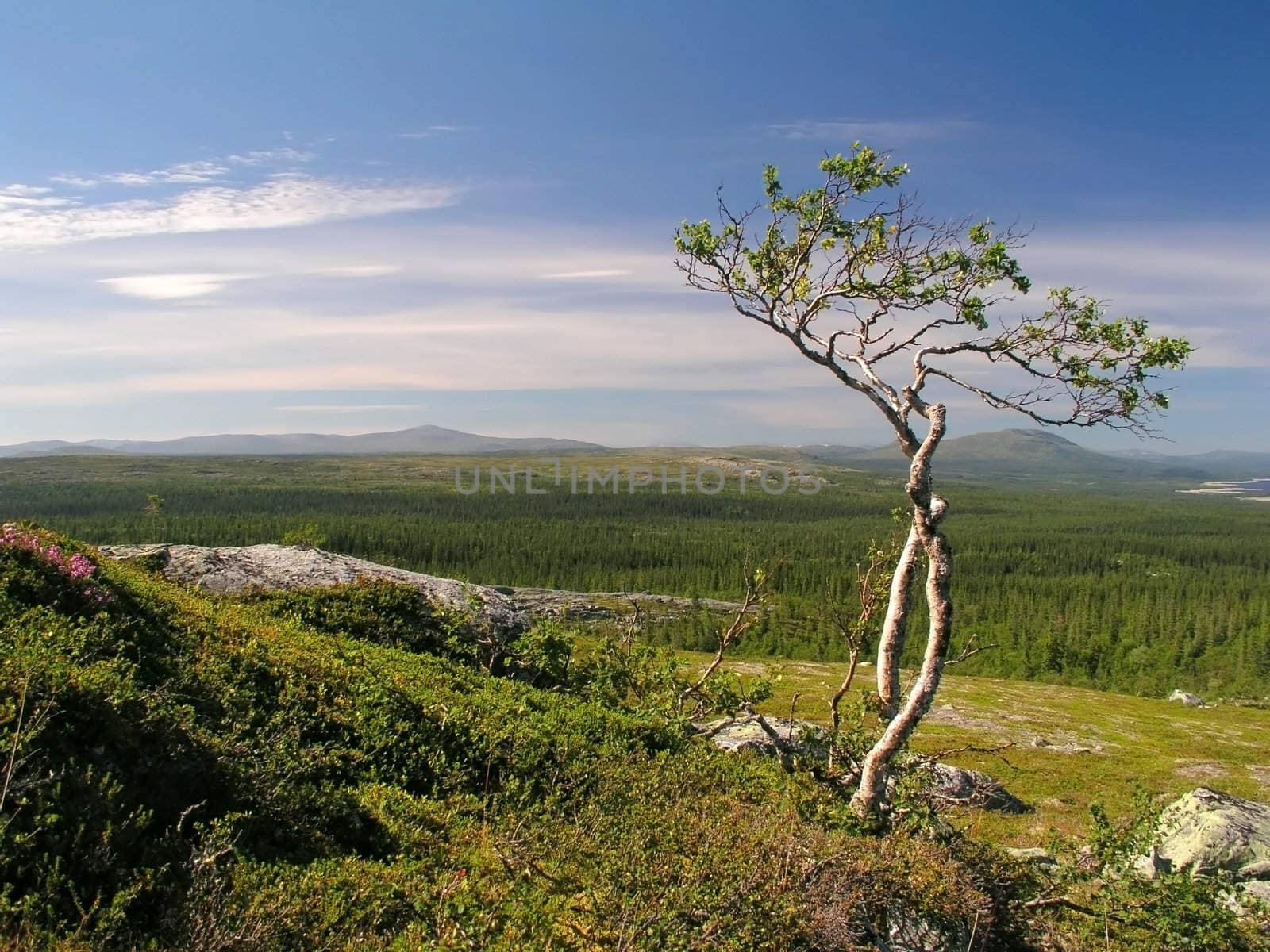 Beautiful mountain landscape with blue sky 
