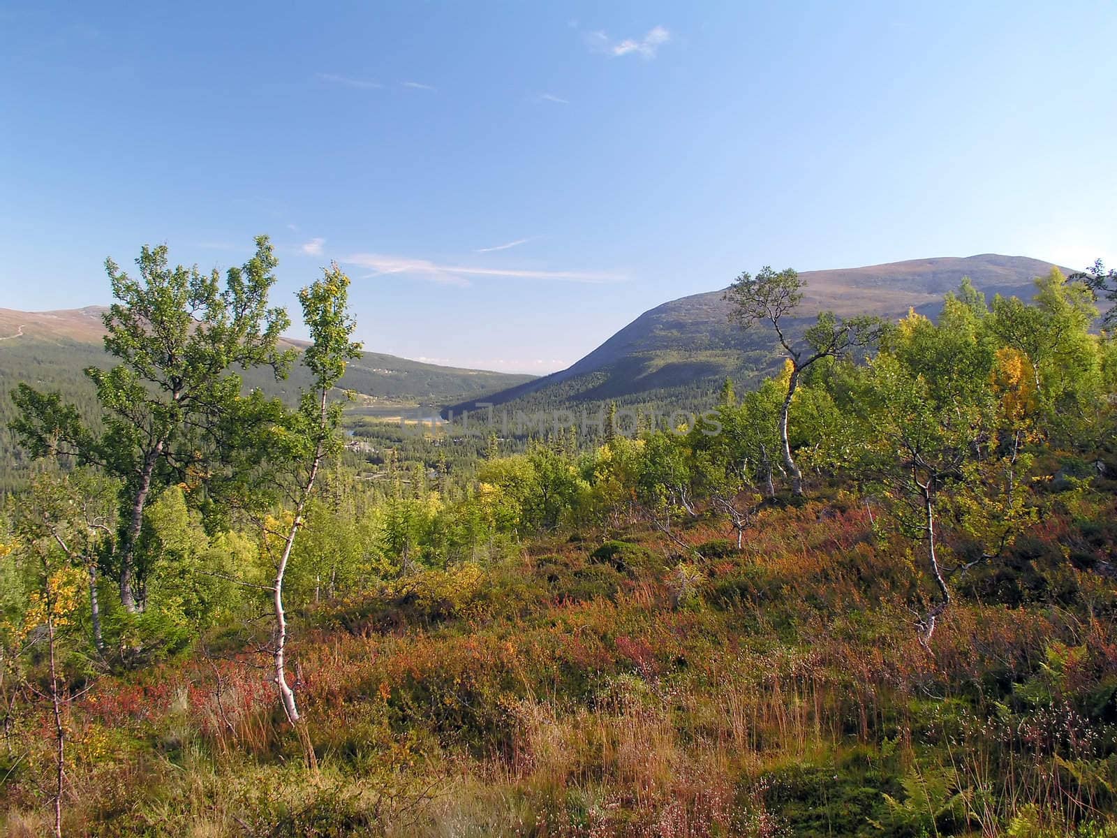 Beautiful landscape of autumn mountain