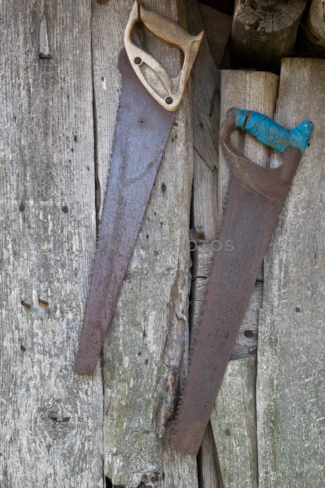 old hand saws attach on barn wall
