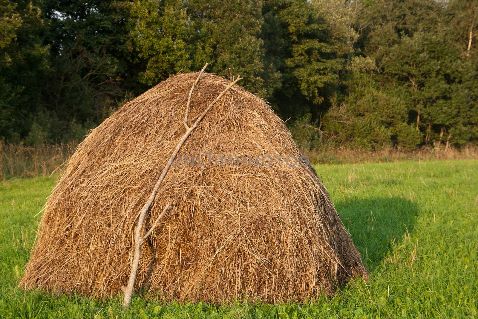 old traditional hay stacks, typical rural scene