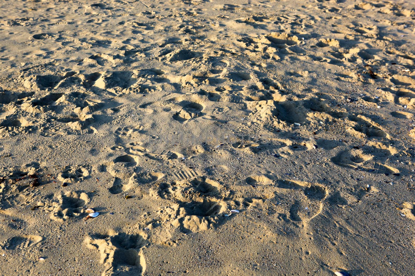 beautiful sand background