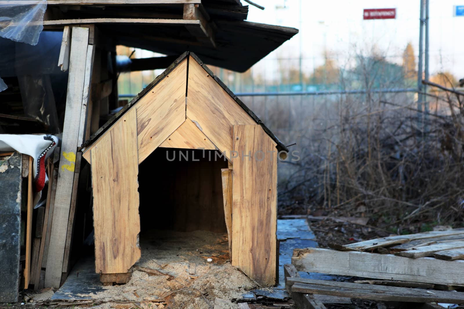 Old fashioned wooden dog