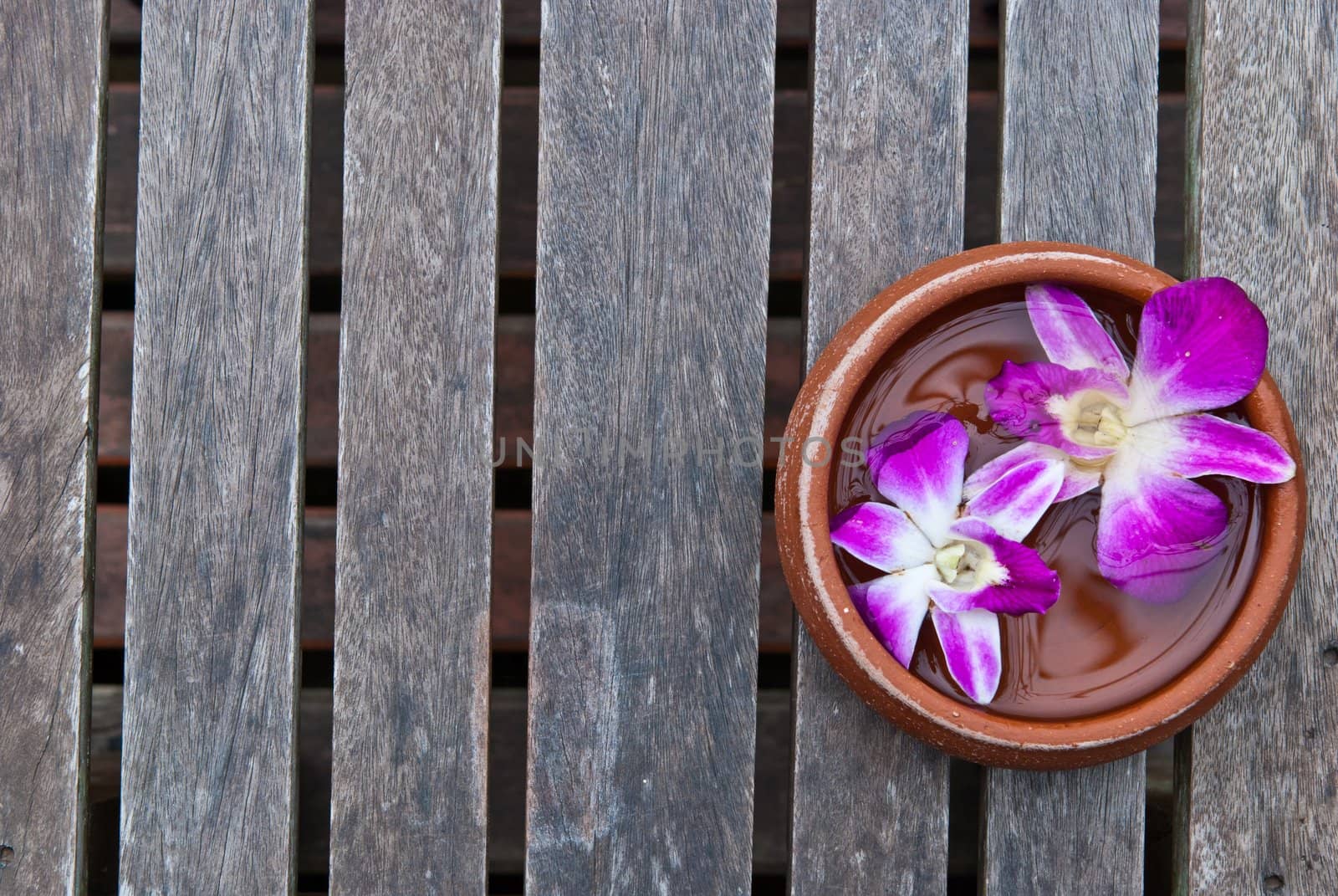 Thai orchid on wood platform with water on top, can be use for health and beauty related concepts
