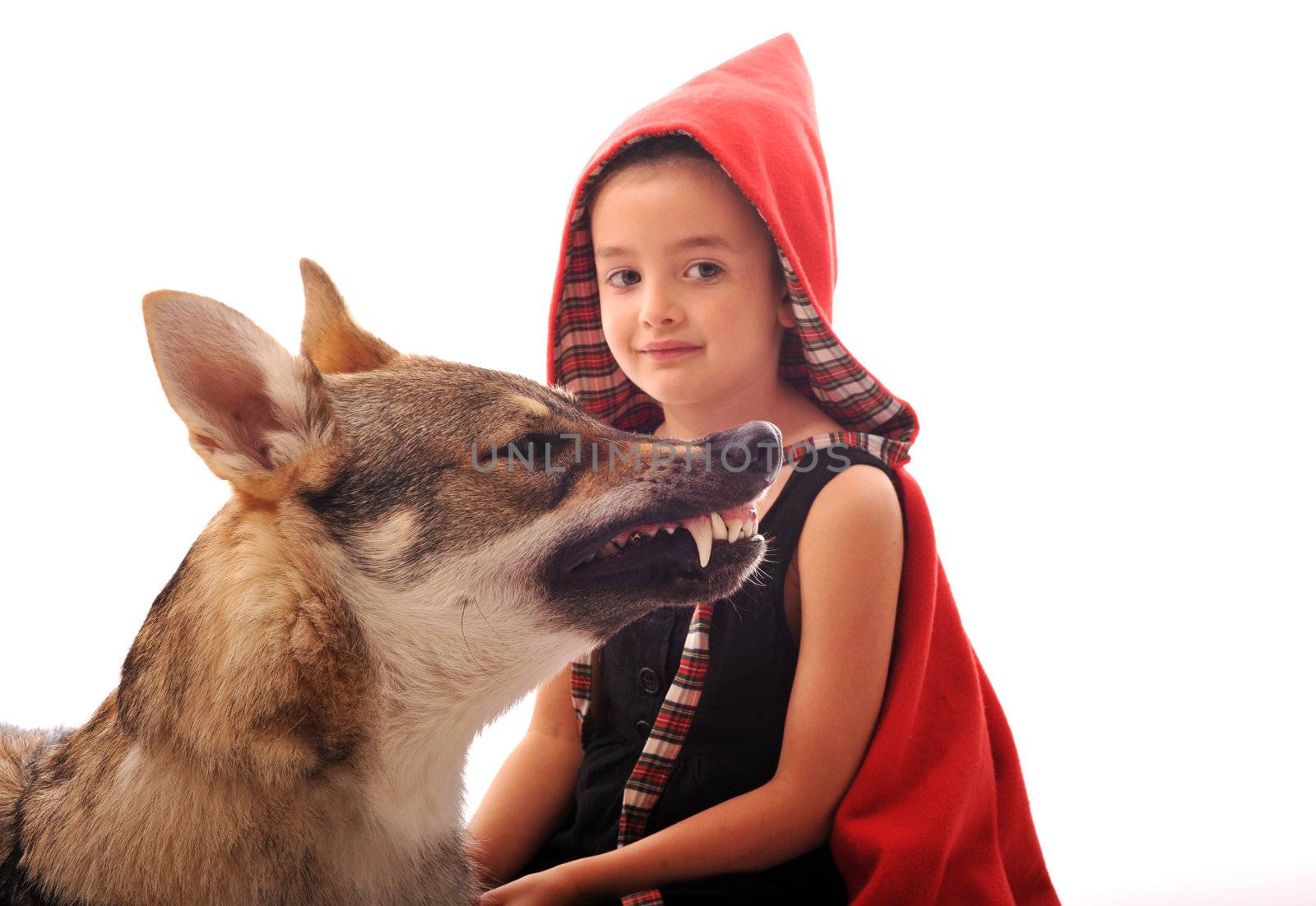 Little Red Riding Hood by cynoclub