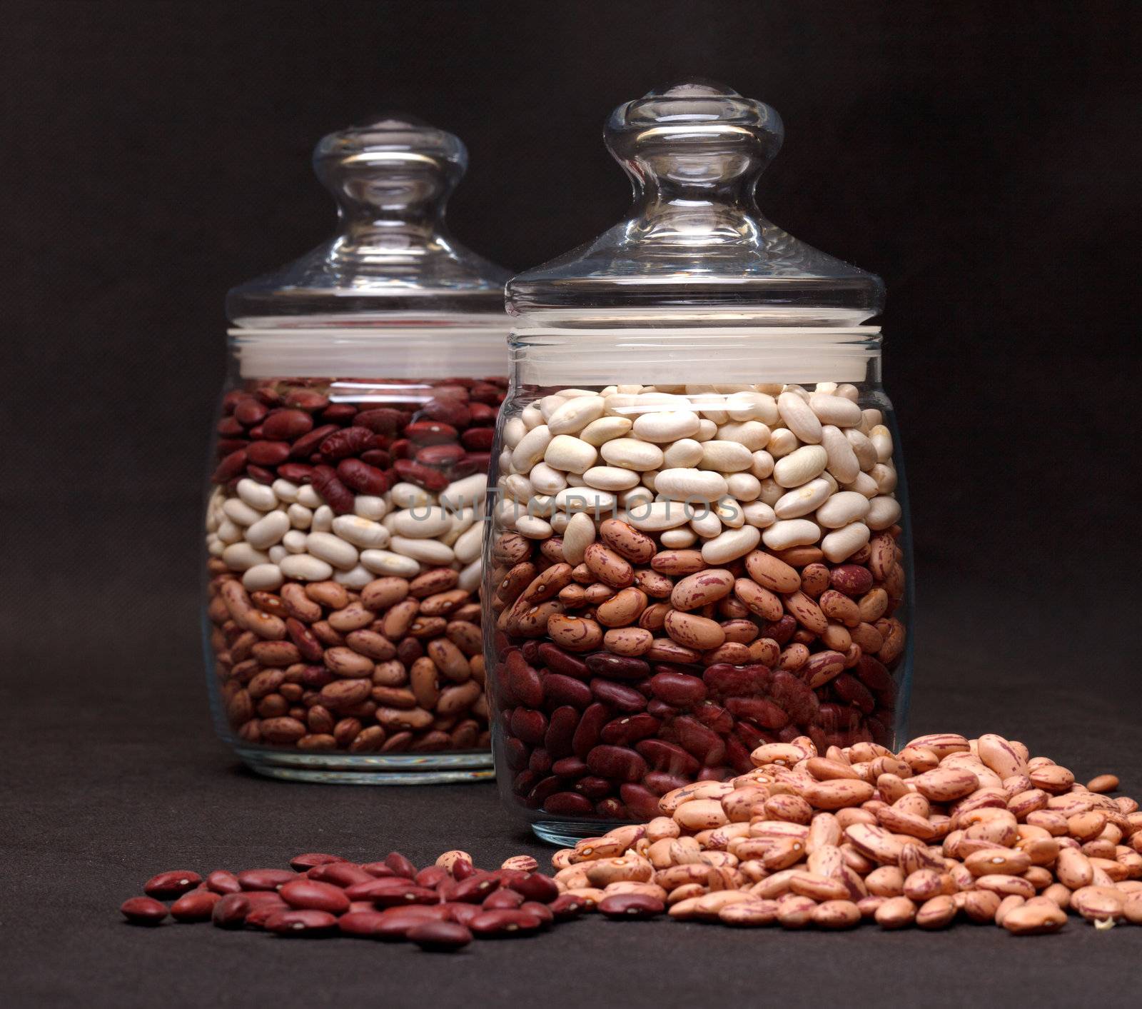 multicolored kidney haricot beans by Discovod