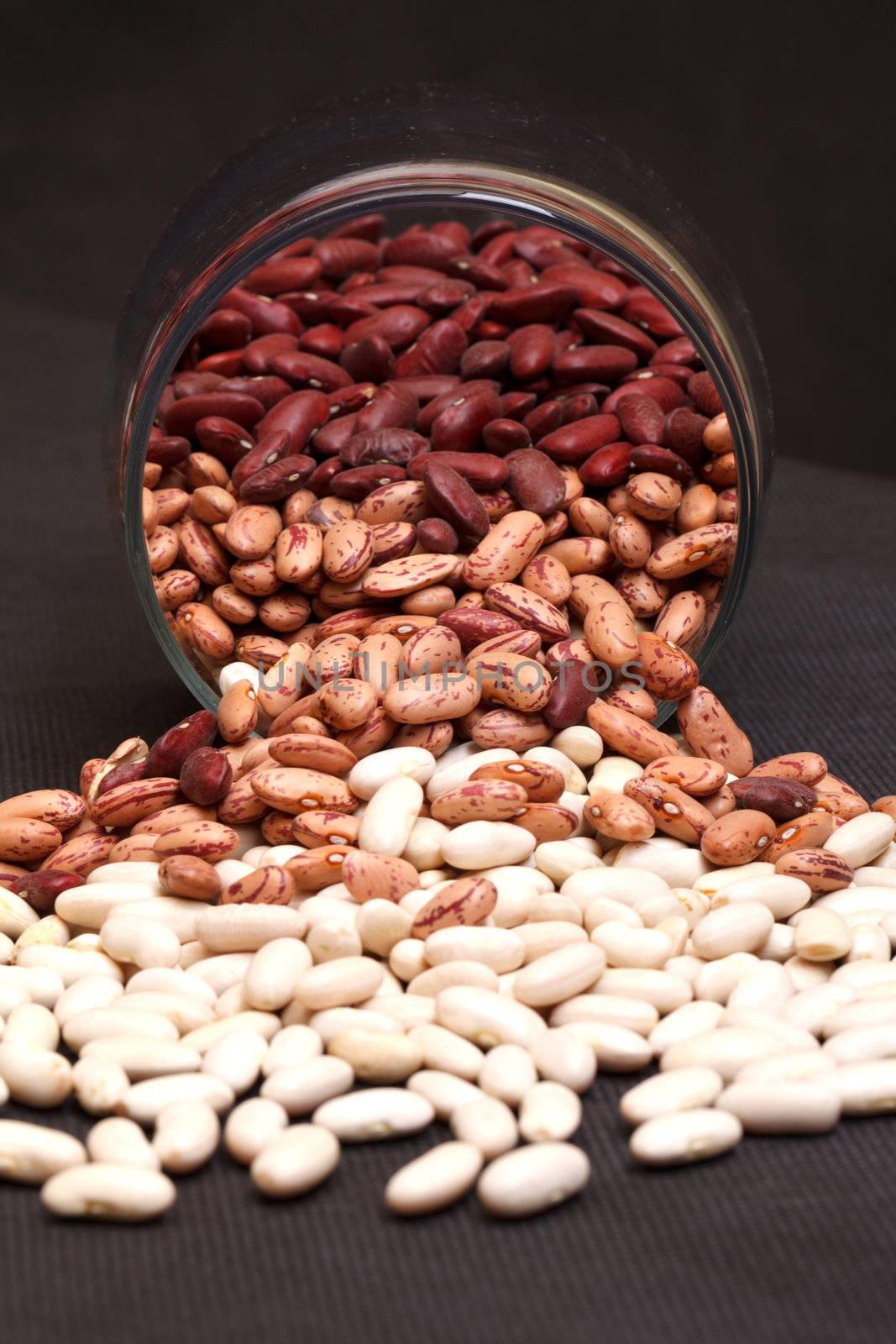 multicolored kidney haricot beans on black