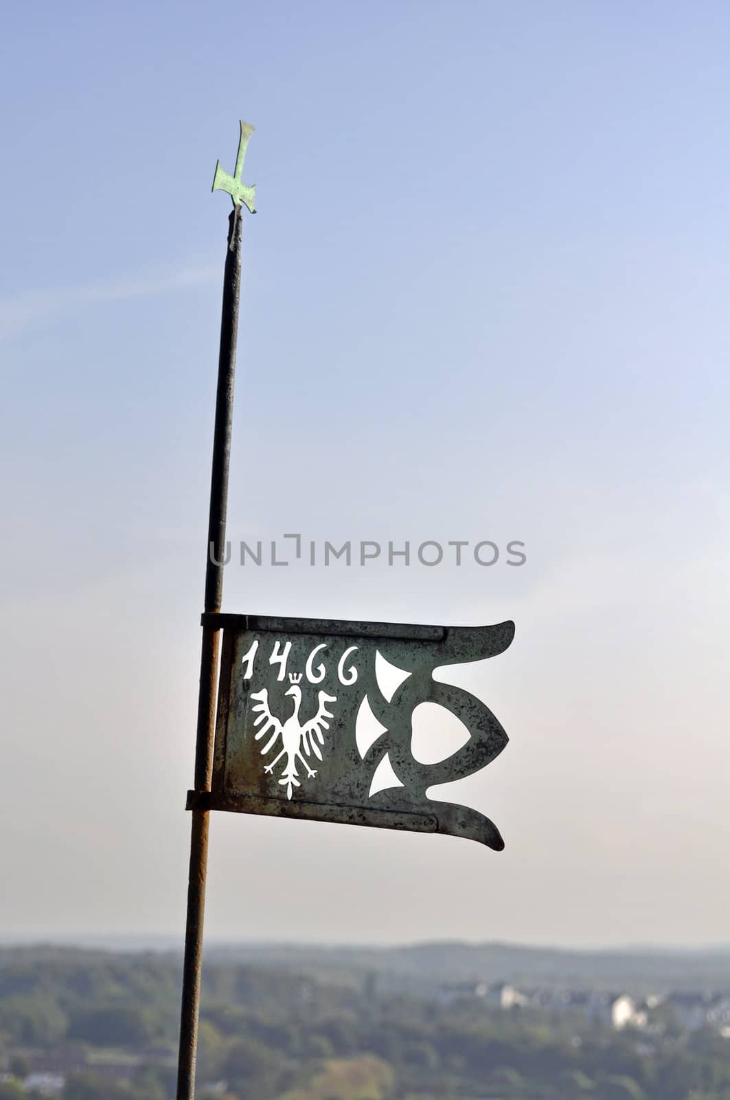 Medieval crowned eagle symbol. by FER737NG