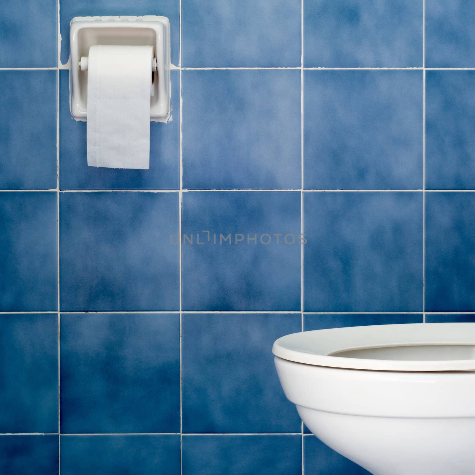 White sanitary ware and tissues in Blue bathroom
