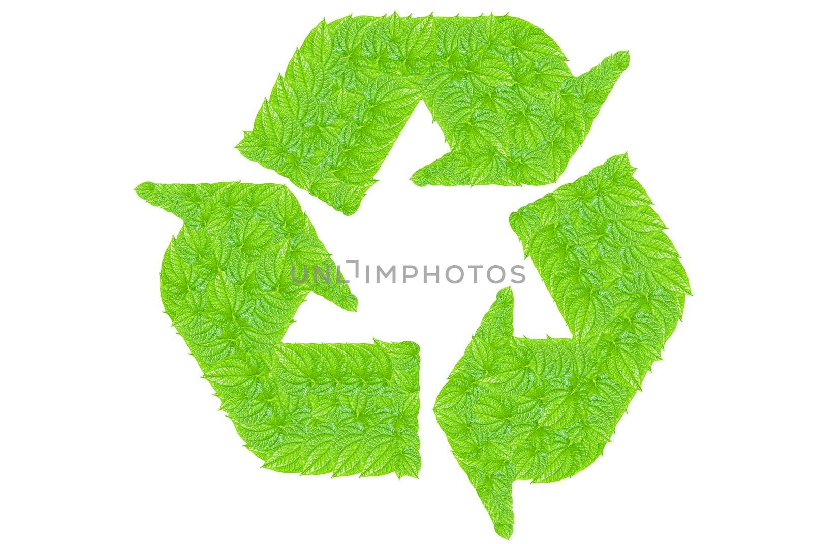 Recycle symbol made from green leafs, can be use for various environmental, ecology concepts and presentations and prints out