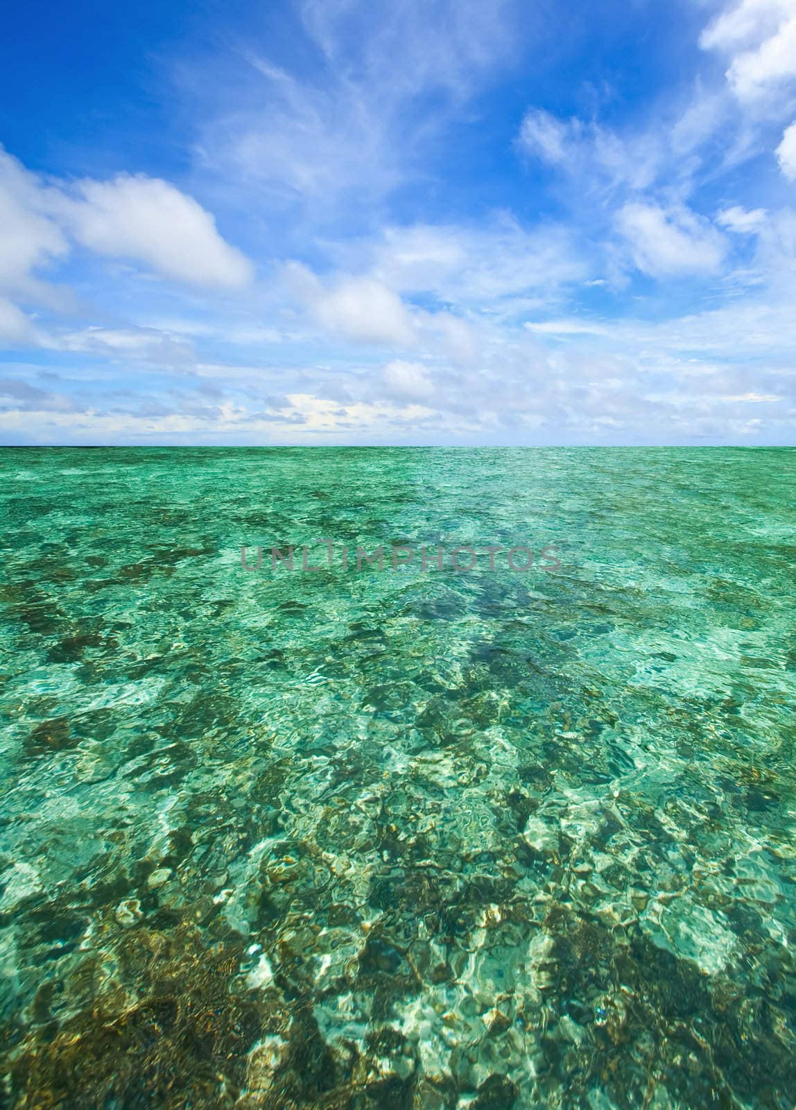 Coral Scape at PhiPhi Island with Perfect Sky