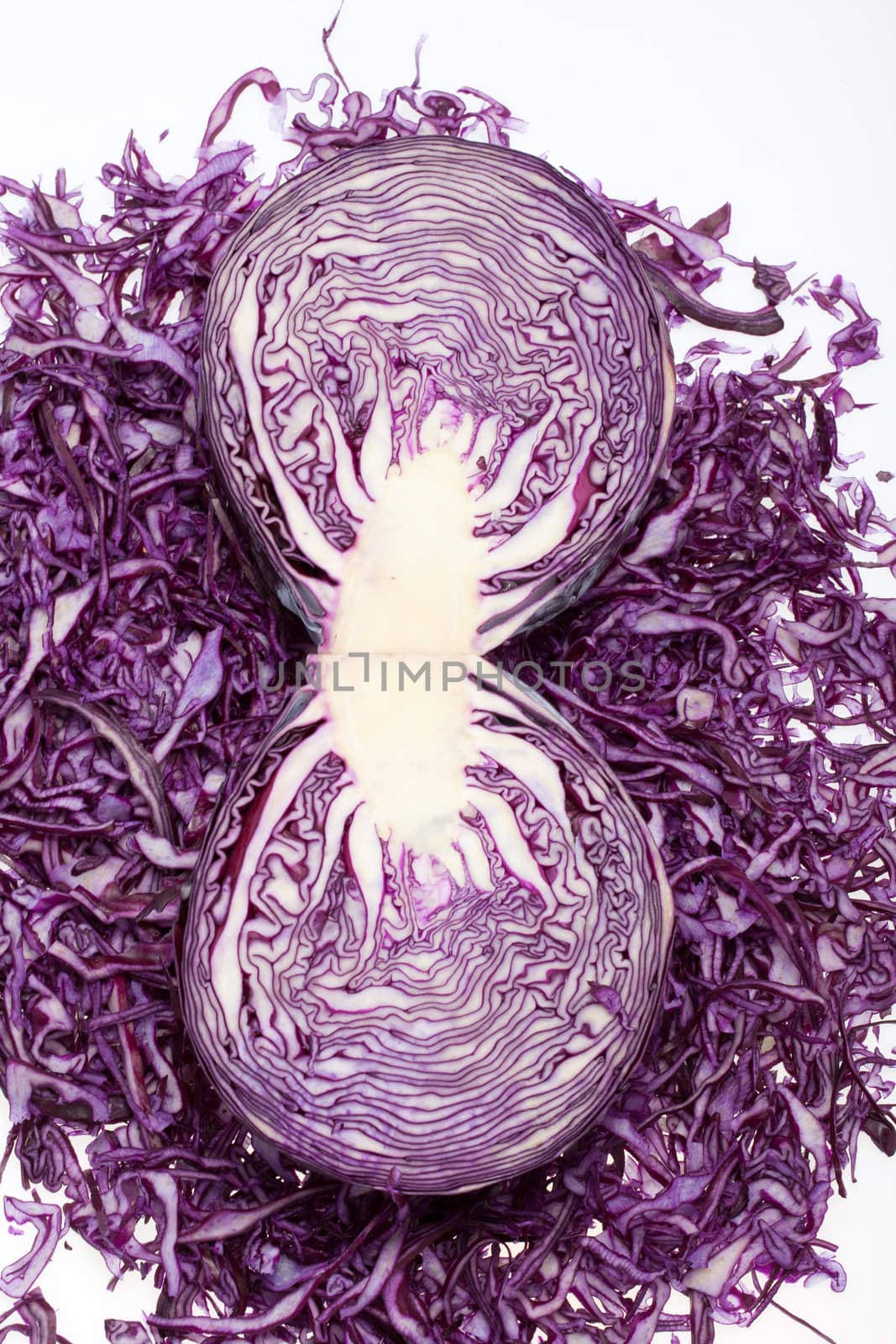  Red  Cabbage  on White Background 