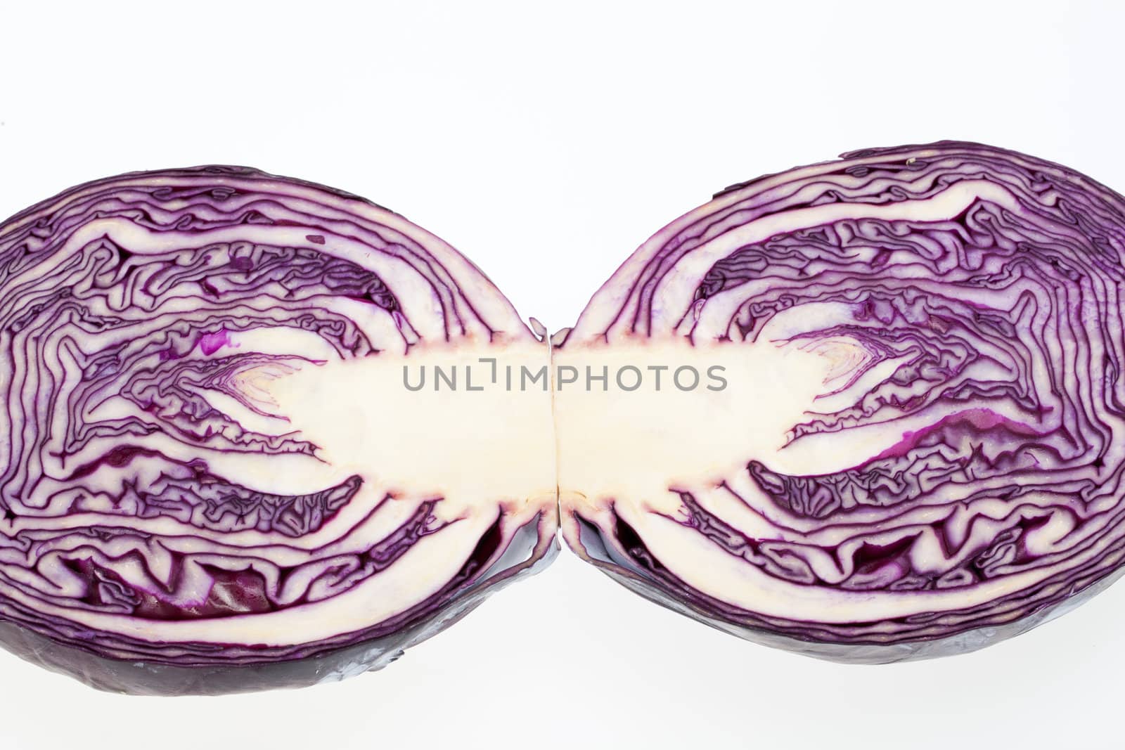 Red Cabbage cross section on White Background 