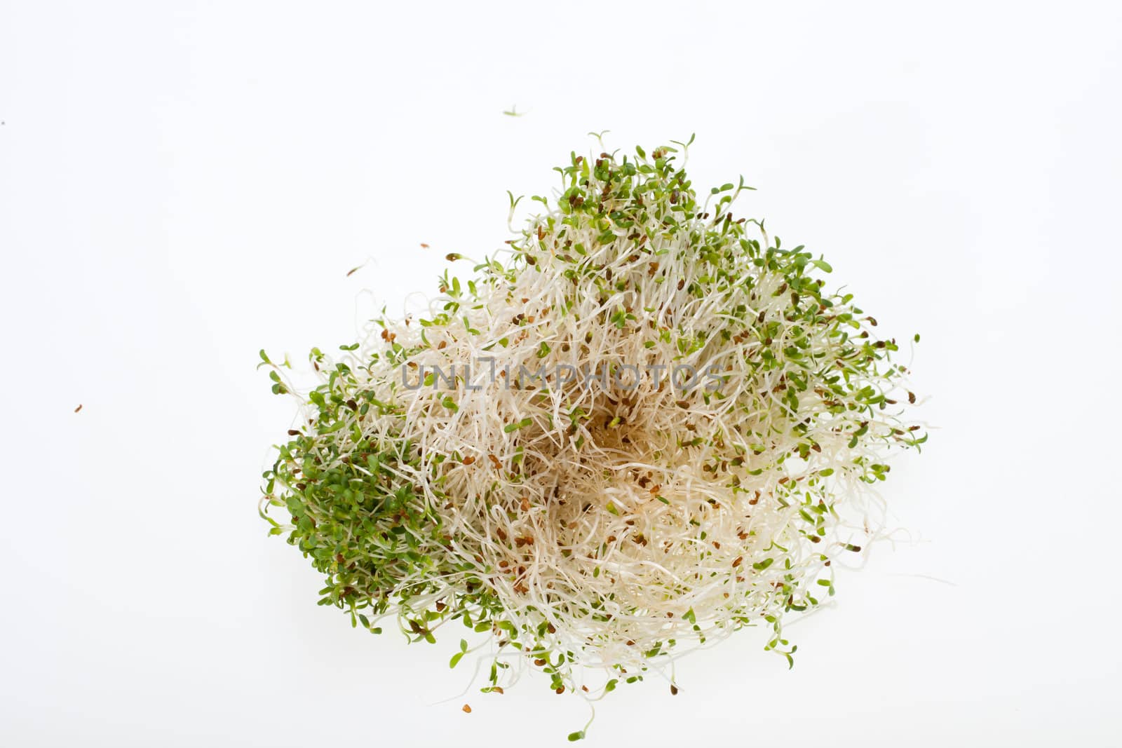 The healthy diet. Fresh sprouts isolated on white background 