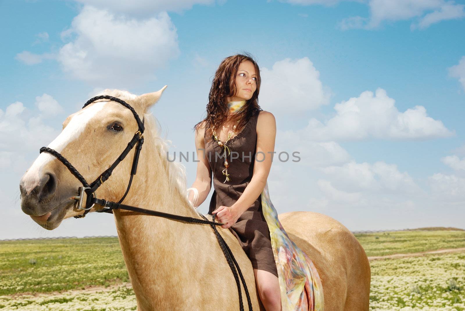 Beautiful lady sitting on the horse in summer field