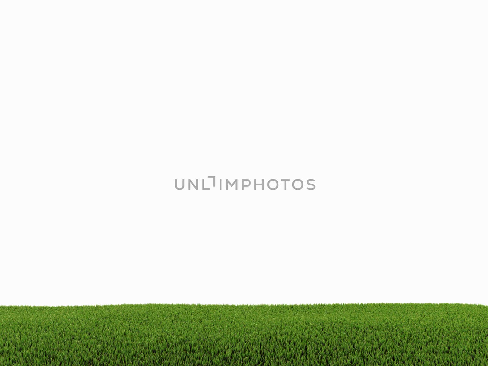 3d rendered of green grass on white background