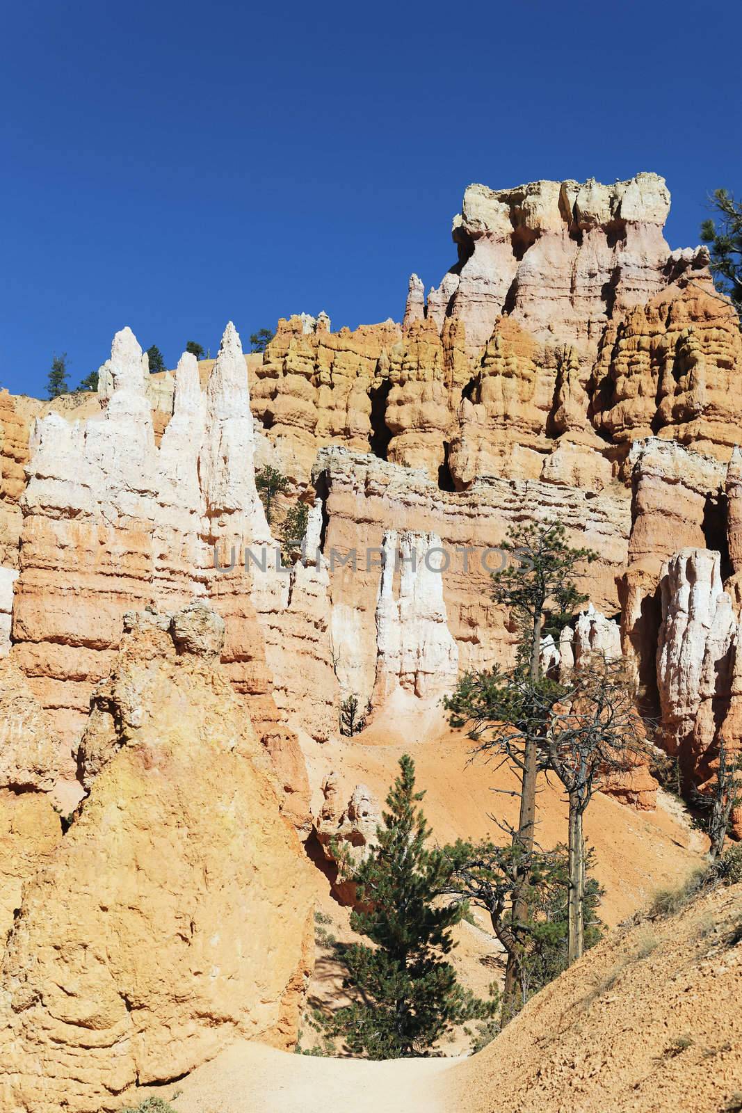 Track at famous Bryce Canyon, Utah, USA 