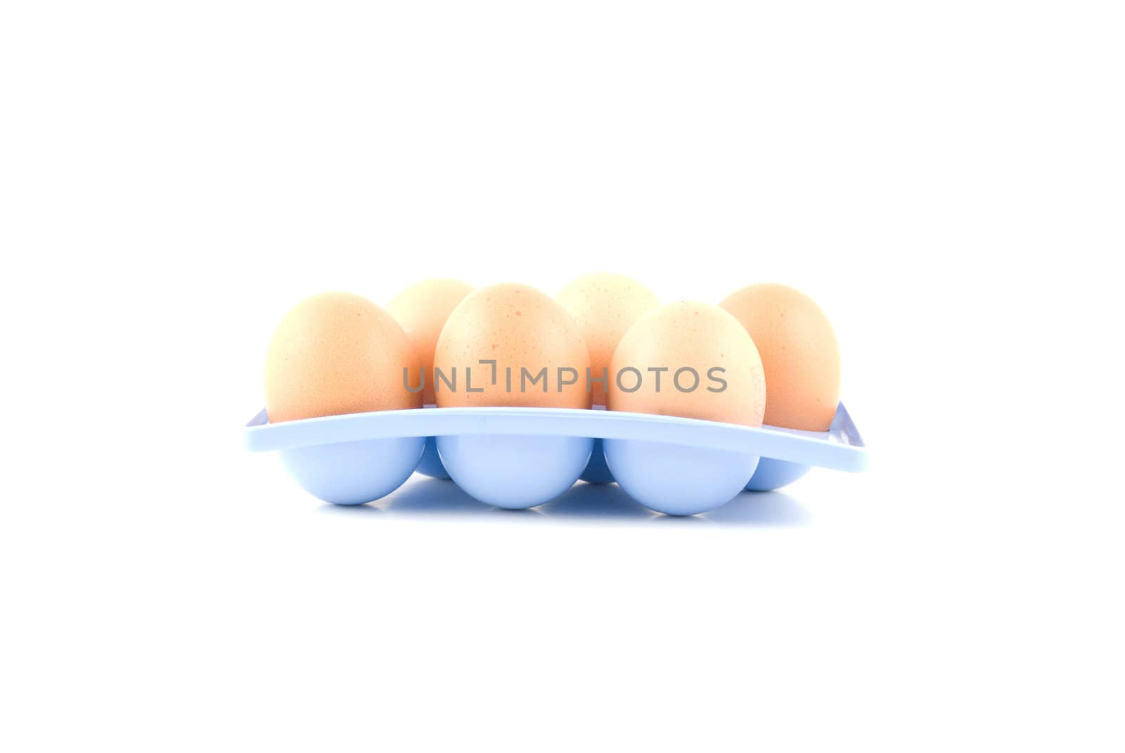 eggs in a blue egg tray