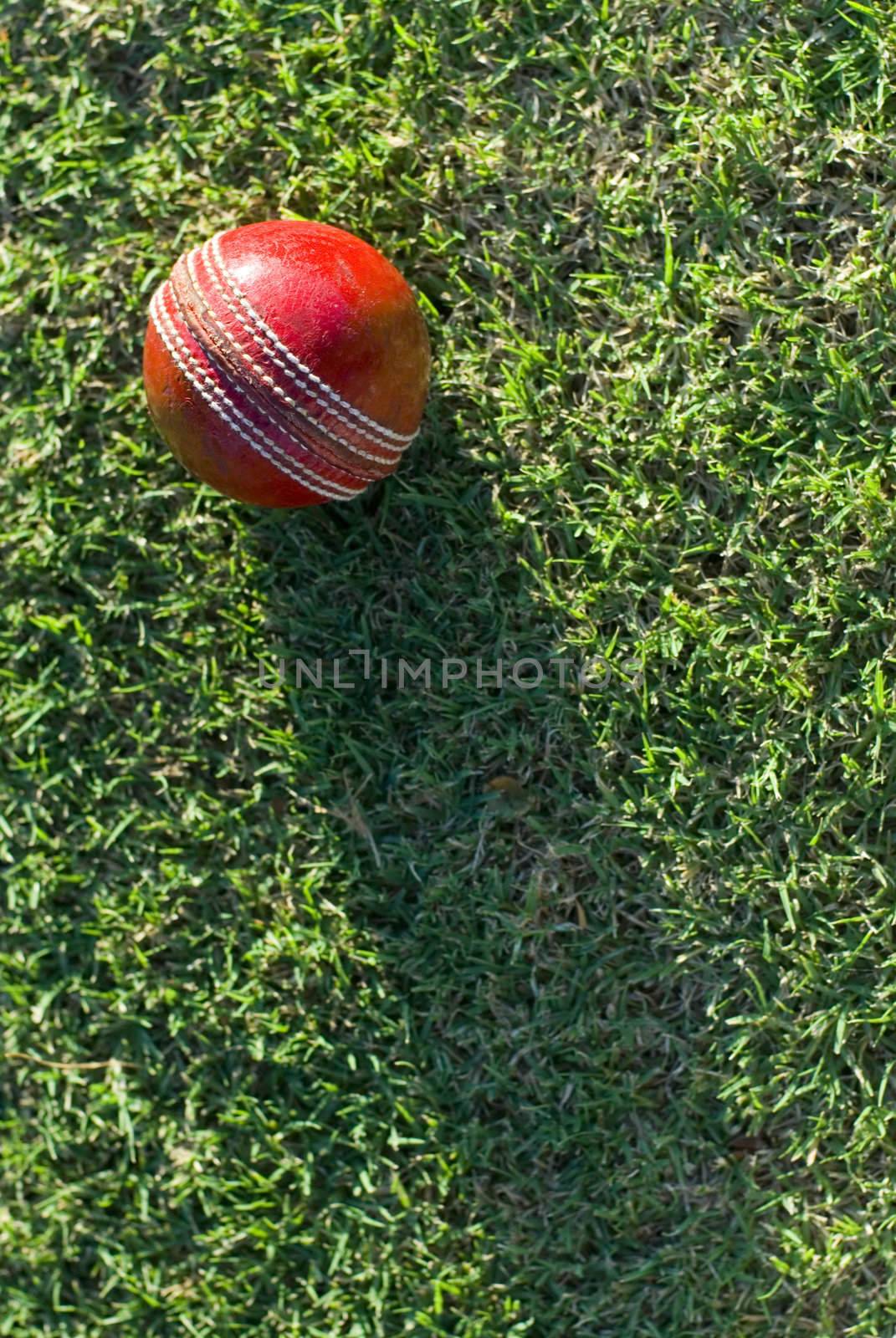 A red cricket ball on green grass casting a long shadow down the length of the frame, with copyspace