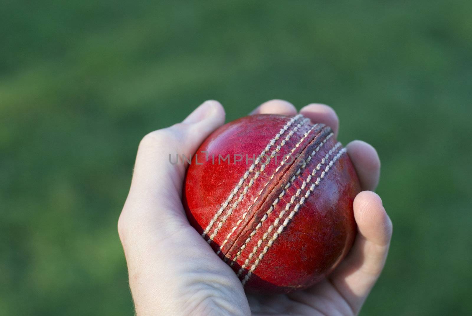 Bowler's hand holding a red cricket ball over green grass.