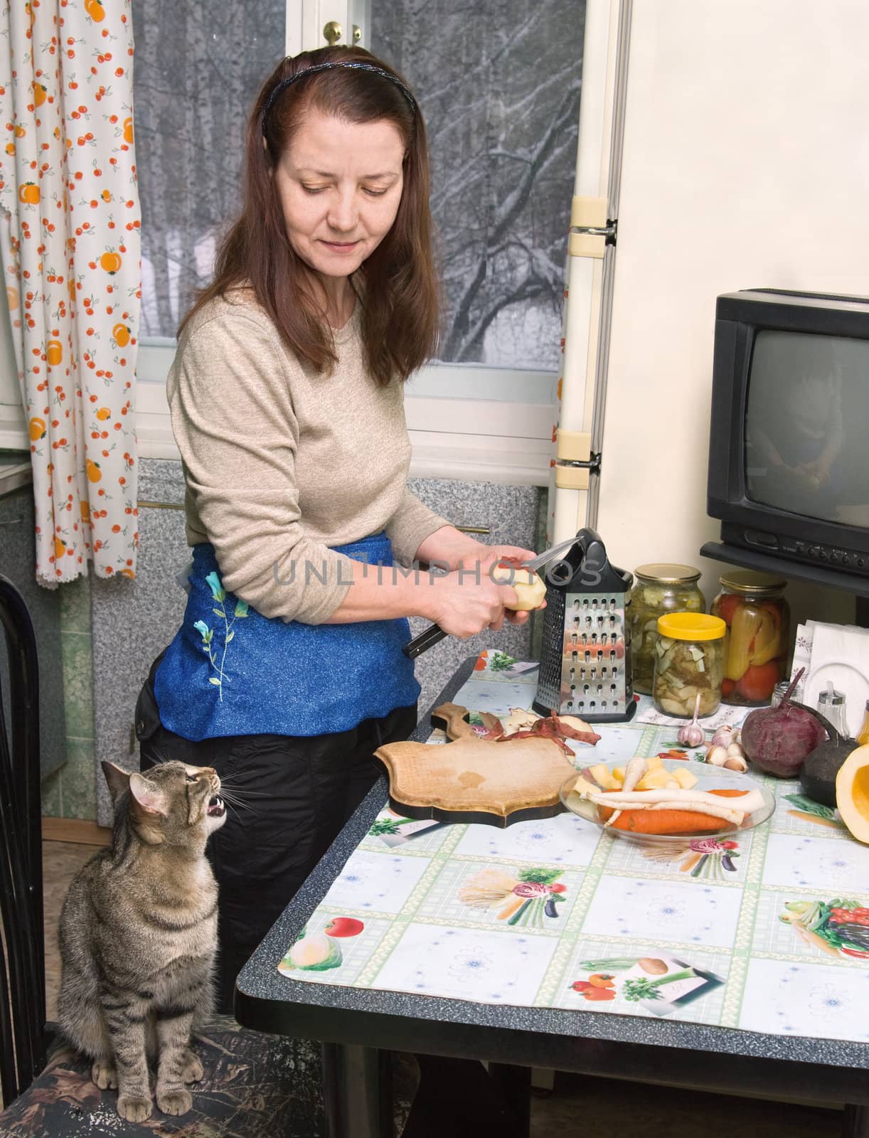 The woman makes a dinner and talks to a cat