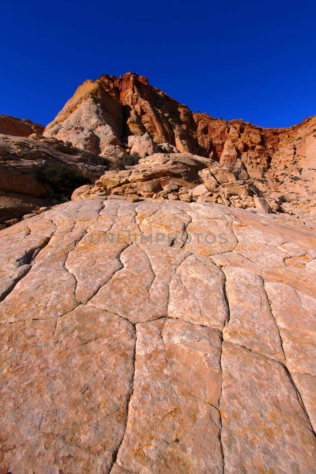 Textured rocky landscape at Capitol Reef National Park in Utah.