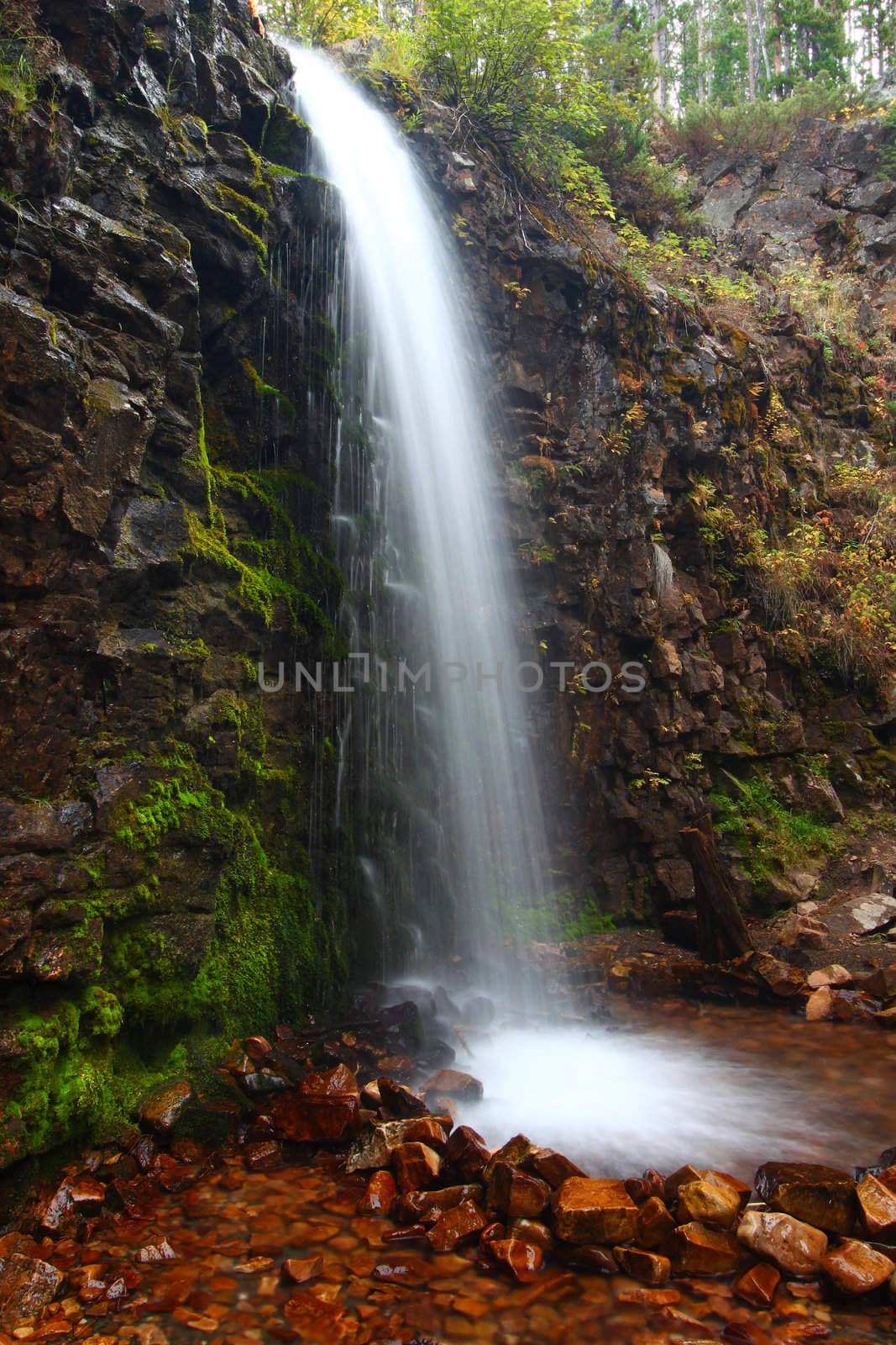 Lower Memorial Falls in the Lewis and Clark National Forest of Montana.