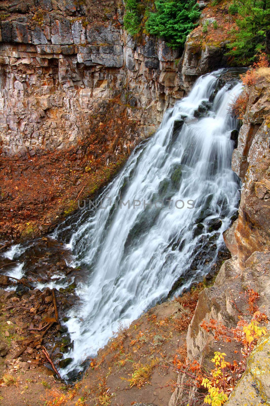 Rustic Falls of Yellowstone National Park in Wyoming.