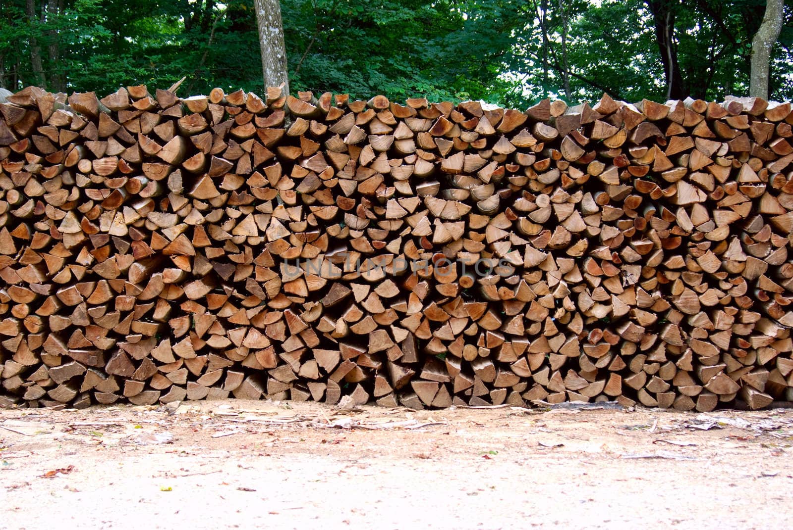 a stere of logs of wood 