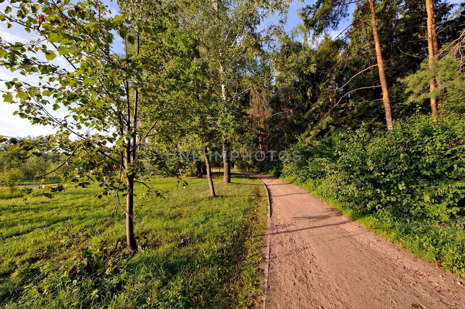 Summer park at morning by mahout