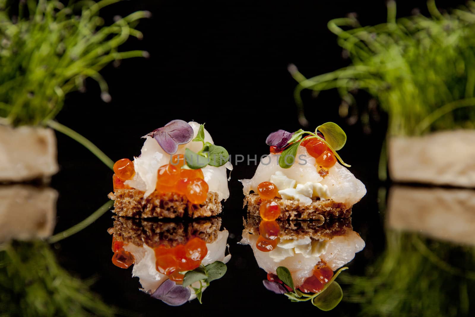 fresh salmon, cheese, and herbs canapes by VictorO