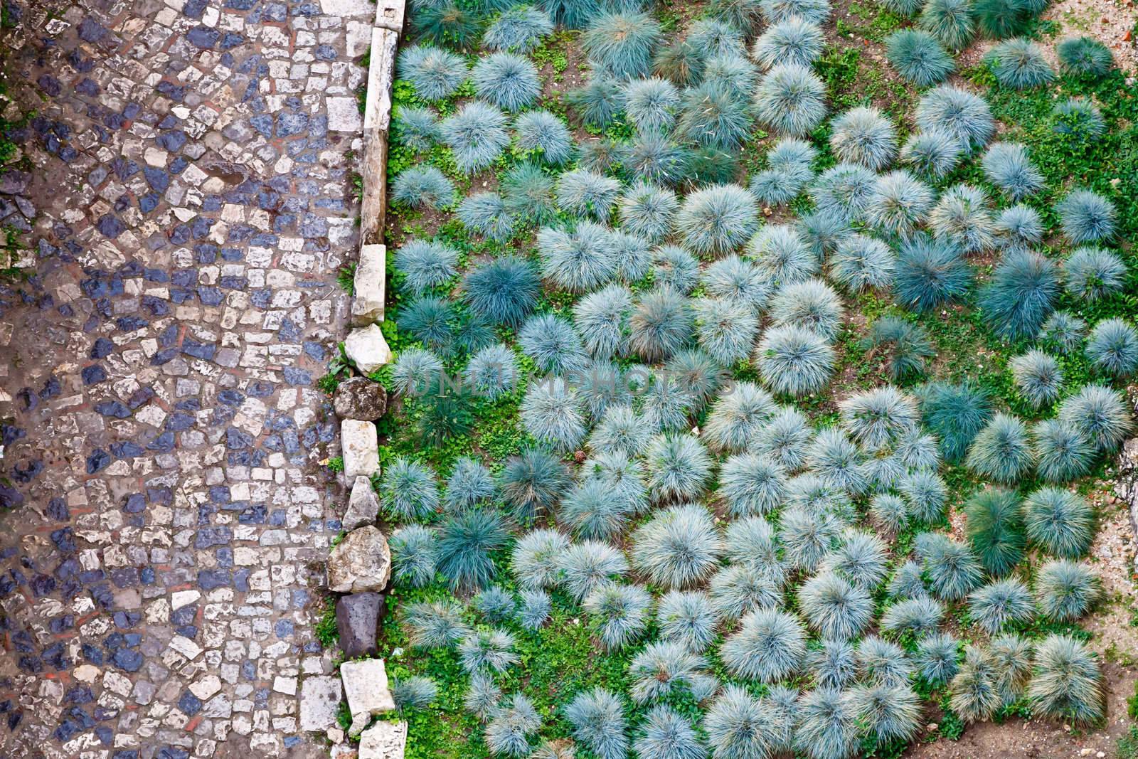 Cobbled road and green plants pattern in San Giorgio Castle in Lisbon by anshar