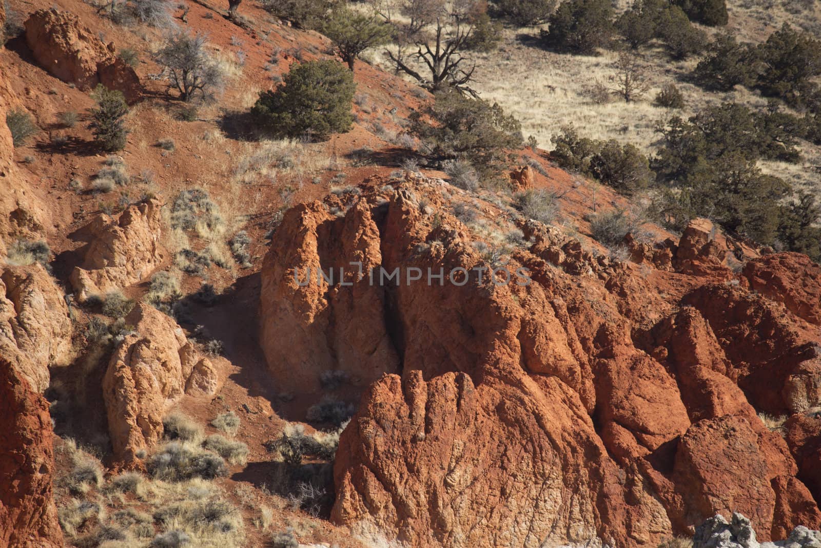 Red Rocks in Nevada by jeremywhat