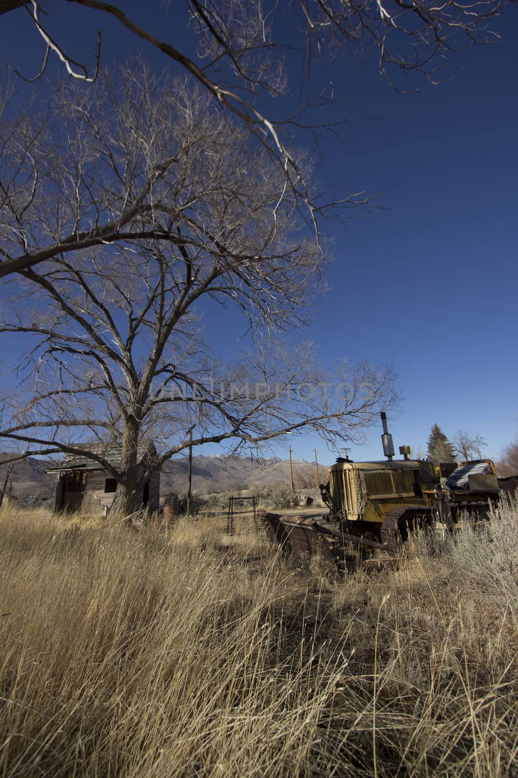 an old tractor in a field.