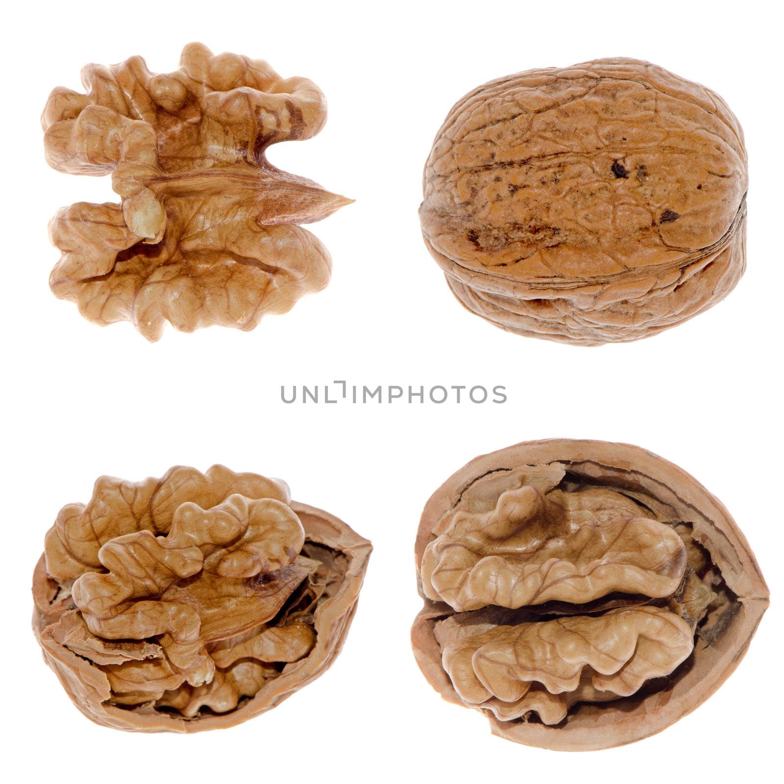 Walnuts in closeup isolated on white background.