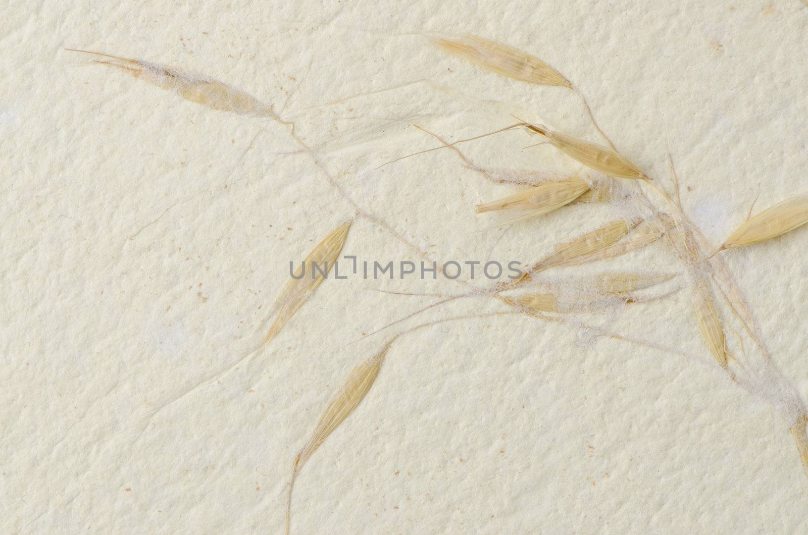 Recycled paper texture closeup background.