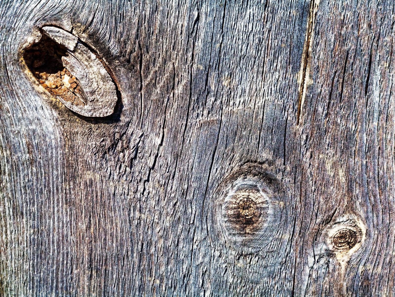 Old Wood Background. Old wooden board. Fragment