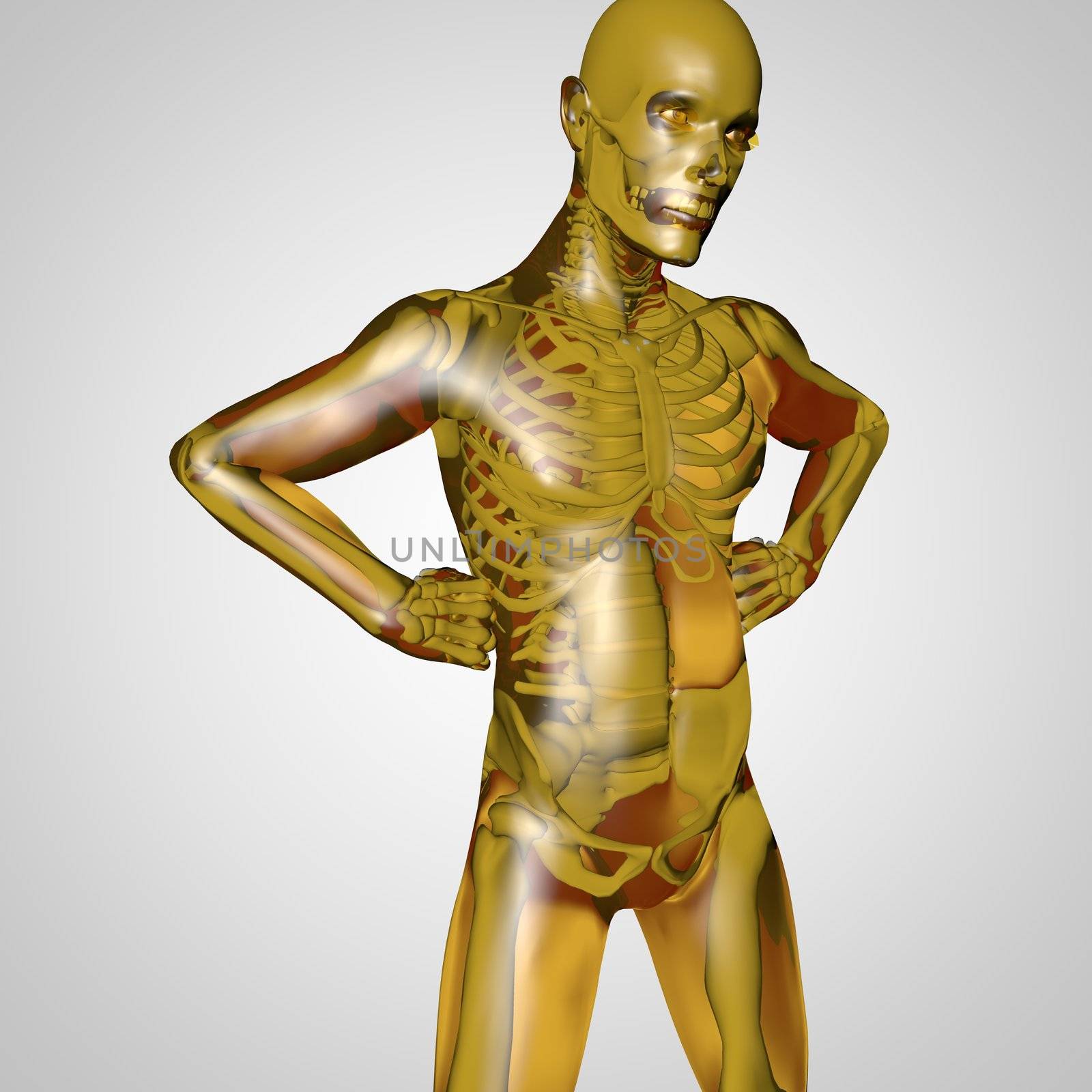 The human body  by 3DAgentur