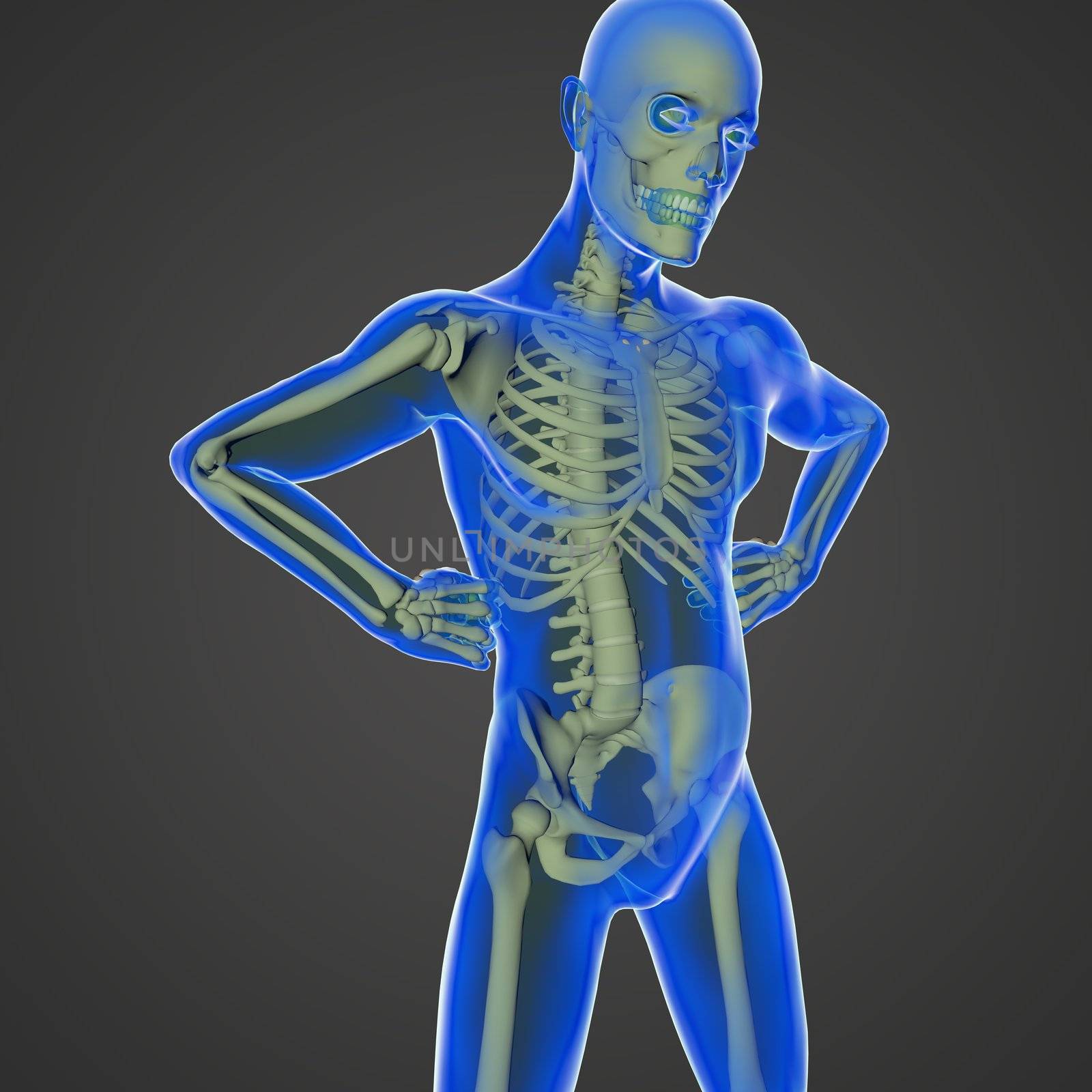 The human body is a marvel of nature with all the organs, the skeleton and the transparent skin