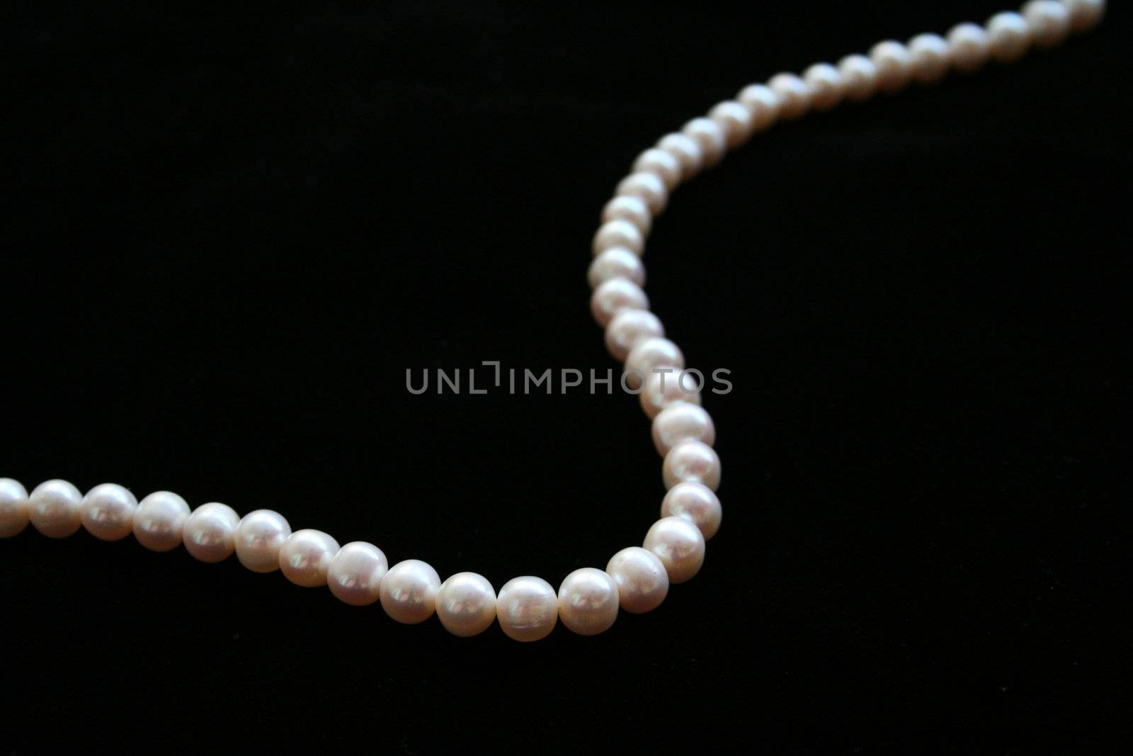 pearls necklace on the black velvet background