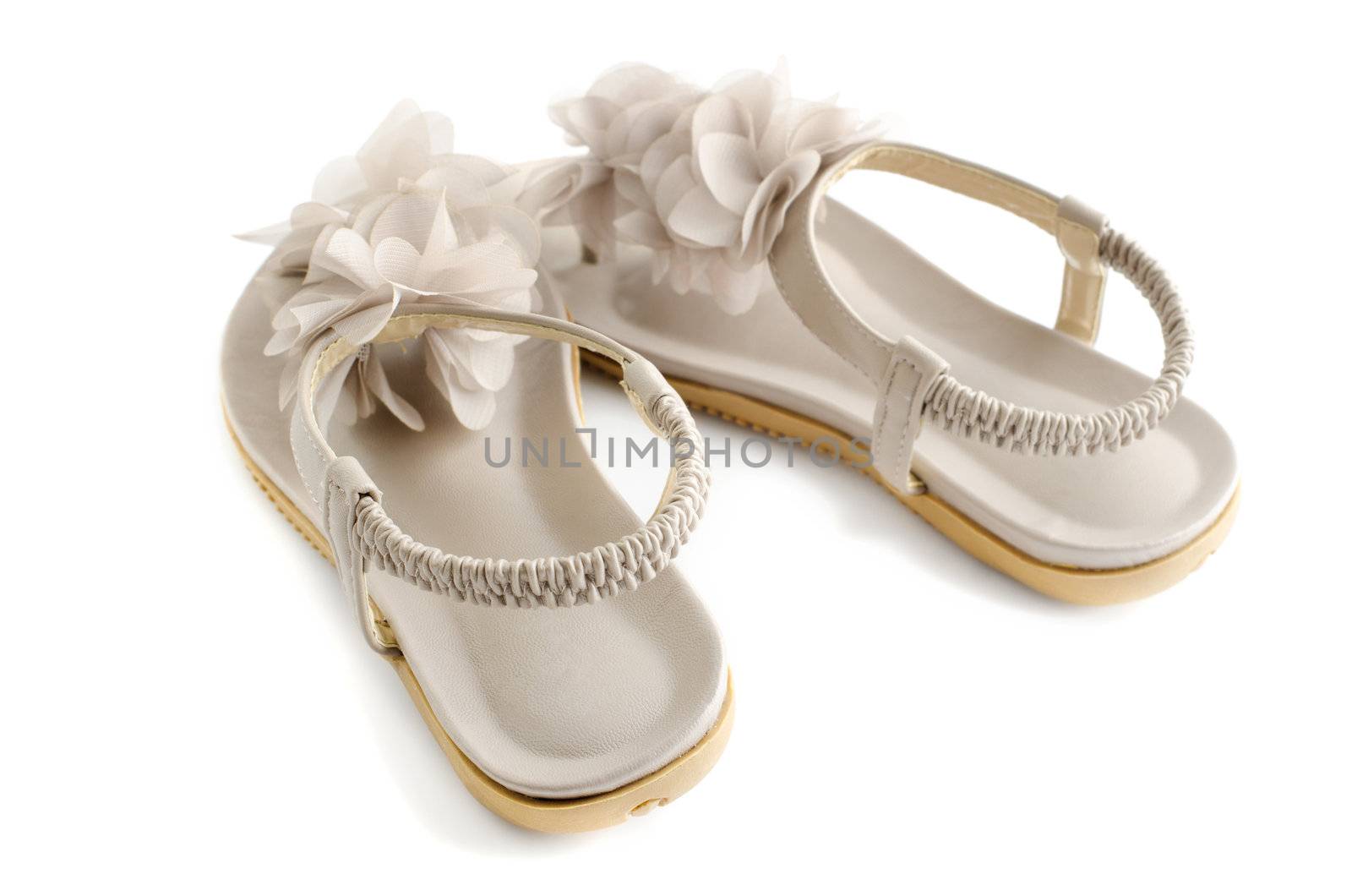 Woman flat shoes on white background