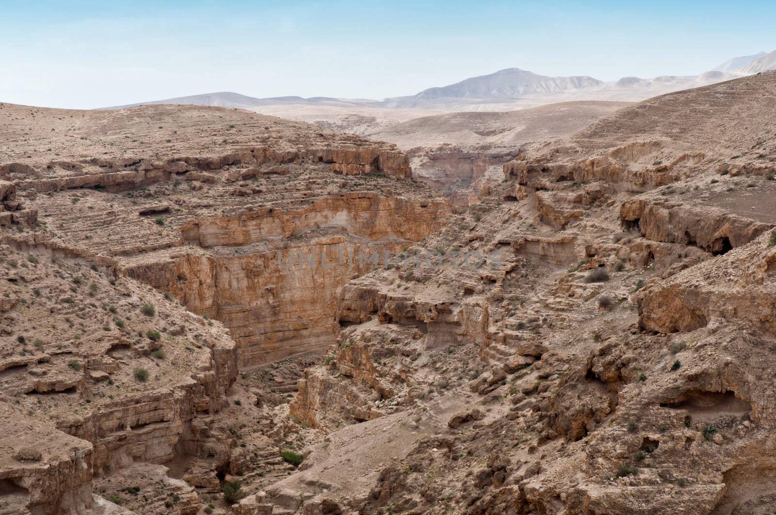 Judean Desert, under the scorching rays of the sun. Israel. Spring.