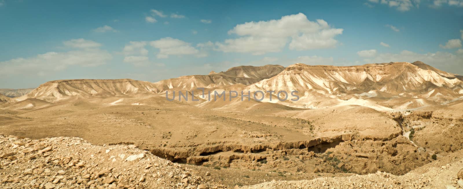 Judean Desert, under the scorching rays of the sun. Israel. Spring.