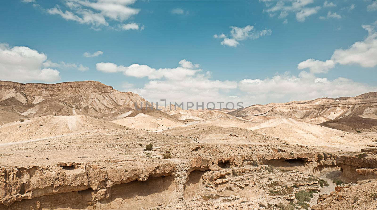 Judean Desert, under the scorching rays of the sun. Israel. Spring.