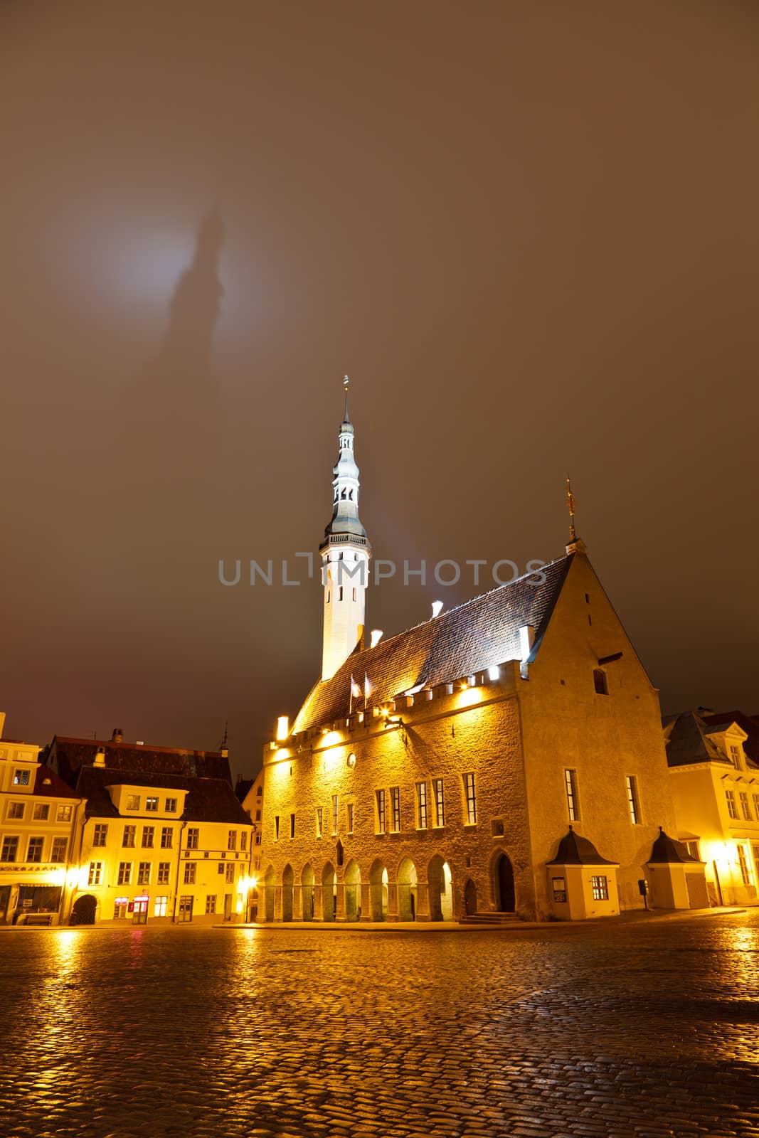 Tallinn Town Hall Casting Shadow on the Dark Sky, Estonia by anshar