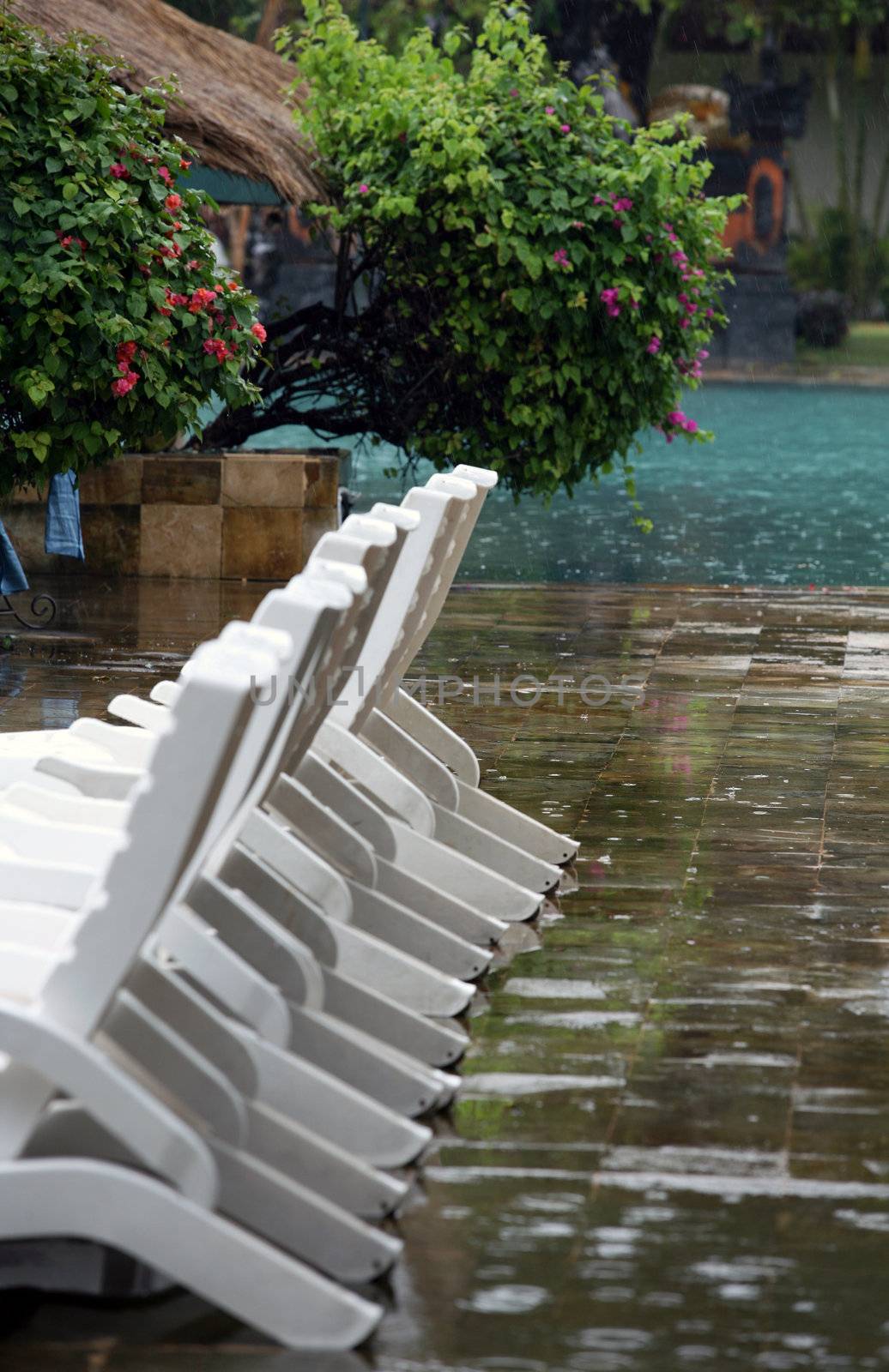 Swimming pool to cool off in on that perfect winter holiday